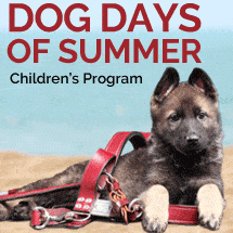 Dog Days of Summer Event Logo with Fidelco Pup Relaxing in Fidelco Harness with Sumny Beach Background