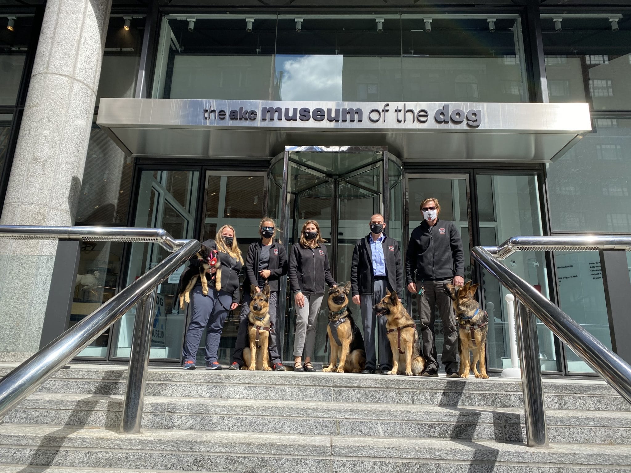 a museum about dogs should allow dogs to visit