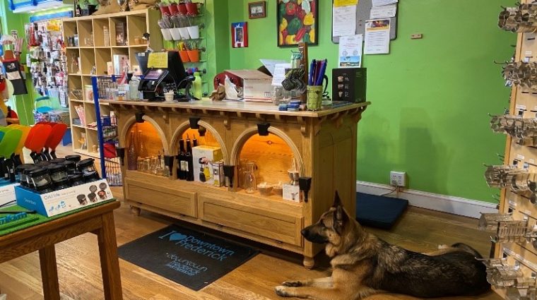 Guide dog keela lying down to the right of the register counter in a small kitchen shop filled with kitchen based items.