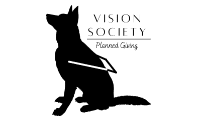 Vision Society Logo