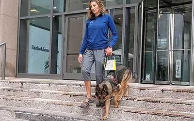 A female trainer walking down the steps of an office building with a guide dog.