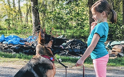 A young girl holding the leashtraining a sitting guide dog pup.