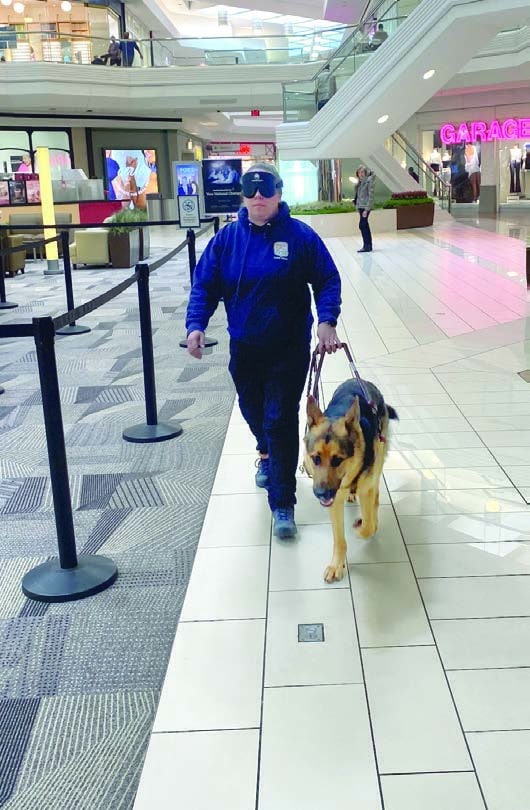 Liz walking with a blindfold on while Dodge, a black and tan GSD, is guiding her through Westfarms mall.