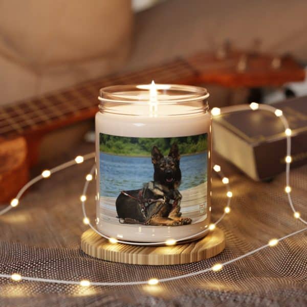 Scented Soy Candle, 9oz - Image 23