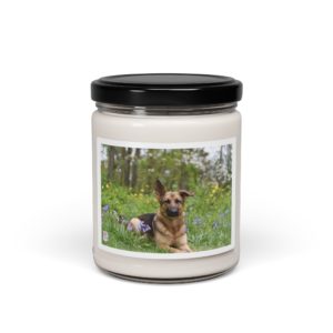 Scented Soy Candle, 9oz