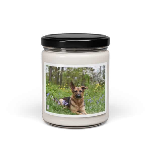Scented Soy Candle, 9oz