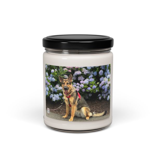 Scented Soy Candle, 9oz - Image 25