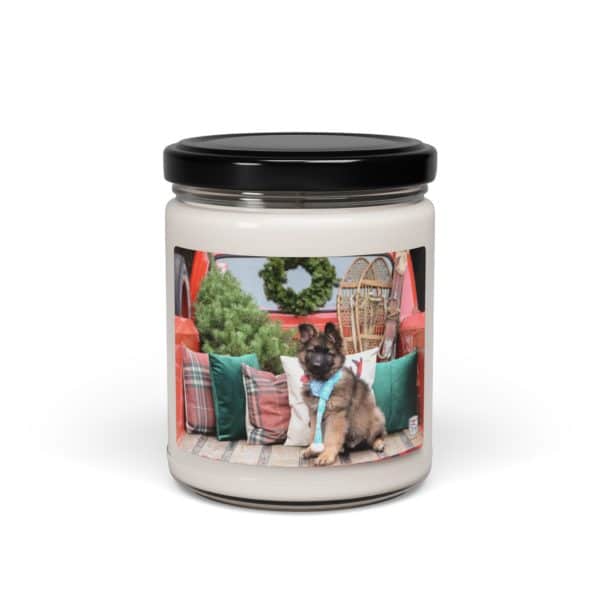 Scented Soy Candle, 9oz - Image 17