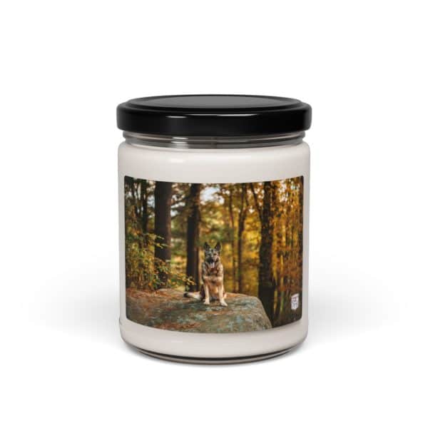Scented Soy Candle, 9oz - Image 9