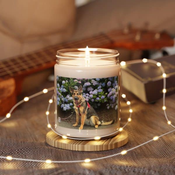 Scented Soy Candle, 9oz - Image 27