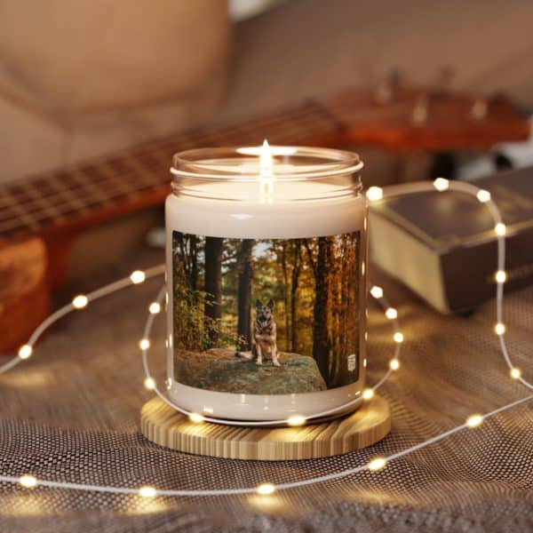 Scented Soy Candle, 9oz - Image 11