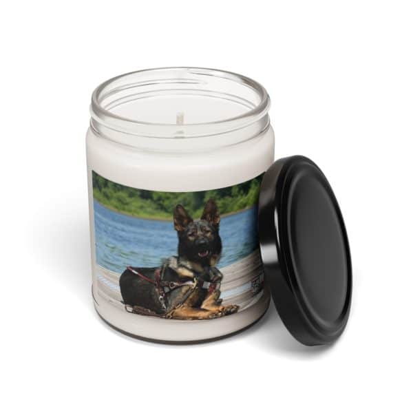 Scented Soy Candle, 9oz - Image 22