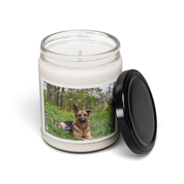Scented Soy Candle, 9oz - Image 2