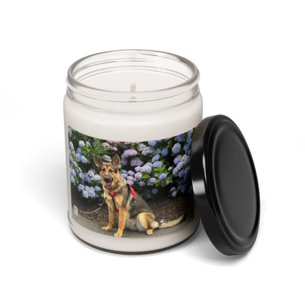 Scented Soy Candle, 9oz - Image 26