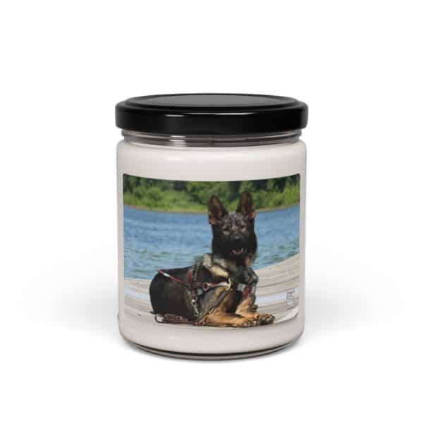 Scented Soy Candle, 9oz - Image 21