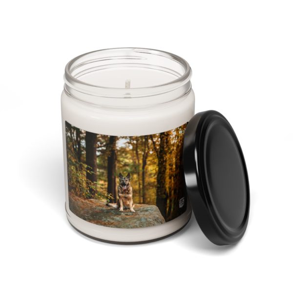 Scented Soy Candle, 9oz - Image 10