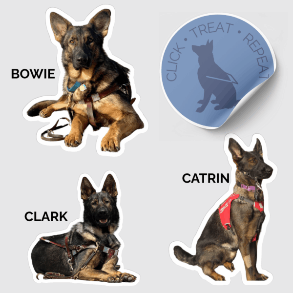 Bowie lying down in harness, Click Treat Repeat circle sticker in blue with image of a GSD in harness, Clark lying down in harness, Catrin a GSD pup wearing a red vest looking right